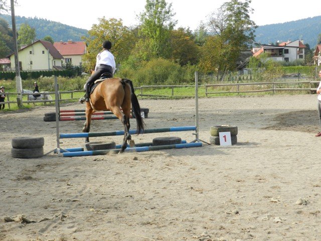 Babie Lato 2016